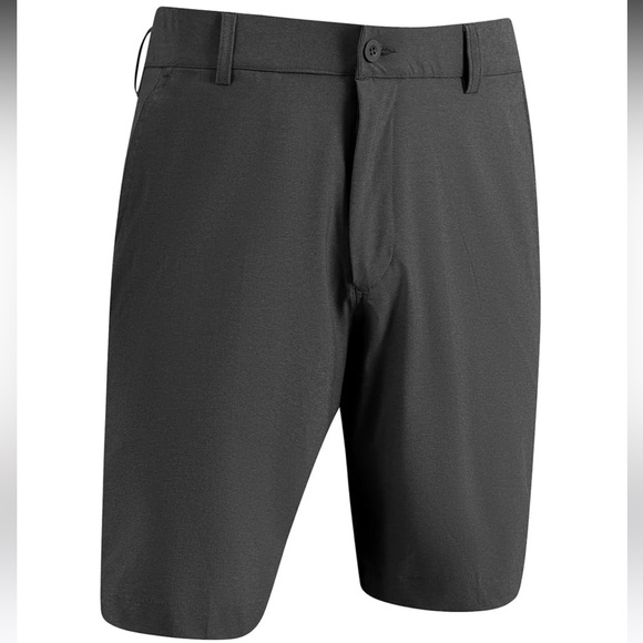 Solid Grey Golf Shorts - Picture 2 of 9